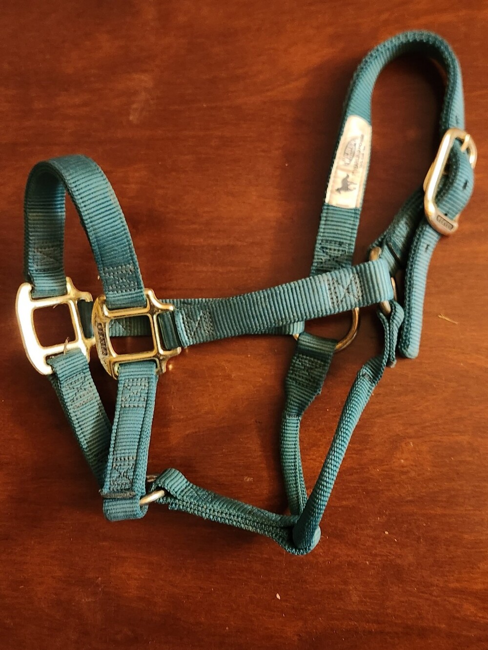 Weavers Teal Nylon Yearling 1" Horse Halter - Teal